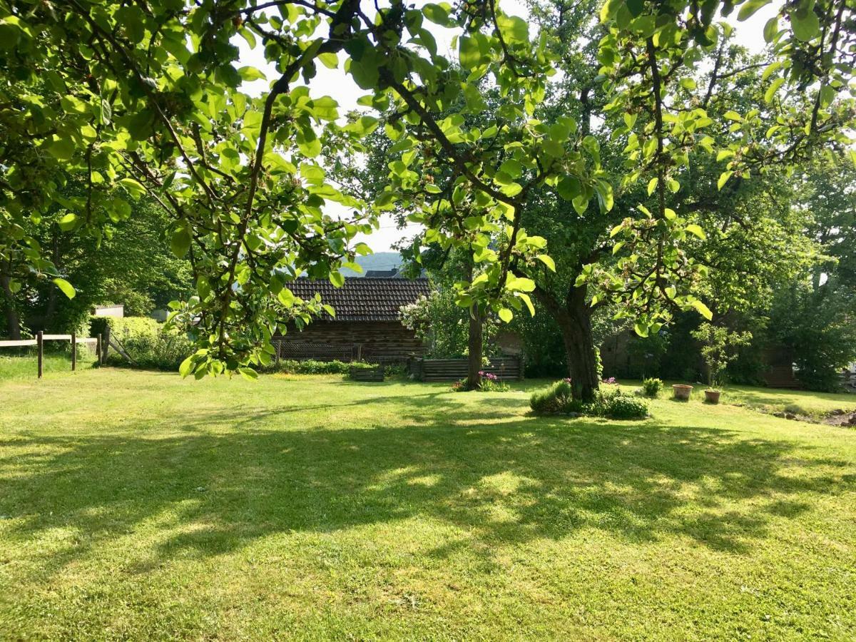 Ferienhaus Vulkaneifel Landhaus Loogh Kerpen  Exterior photo
